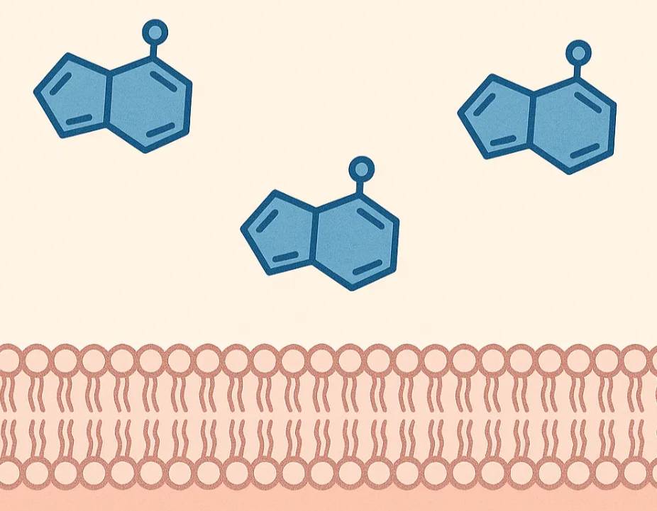 Adenosine and ATP molecules